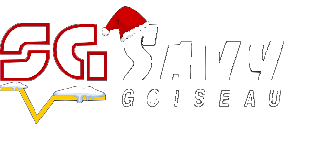 Savy Goiseau