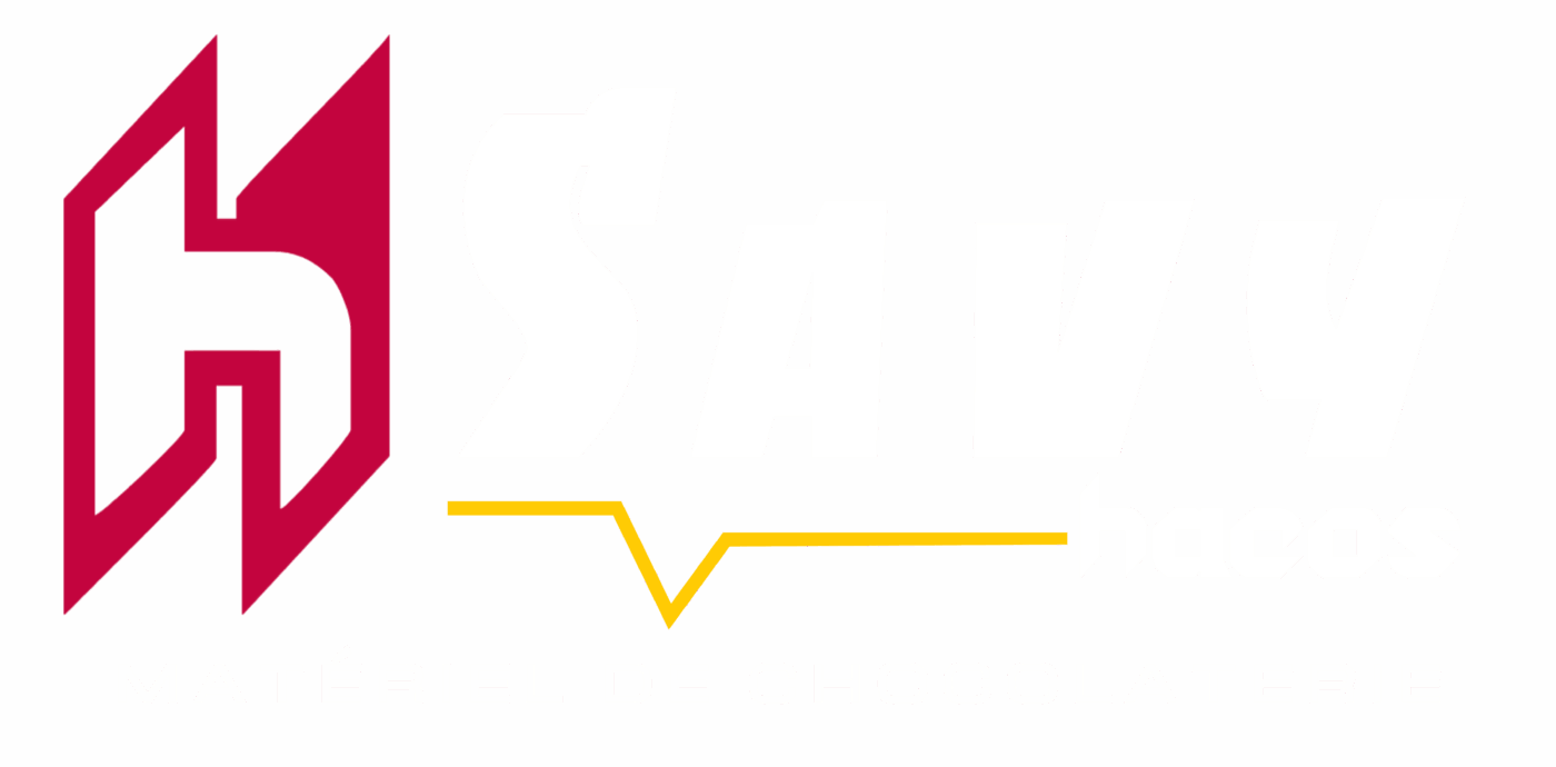 Savy Goiseau
